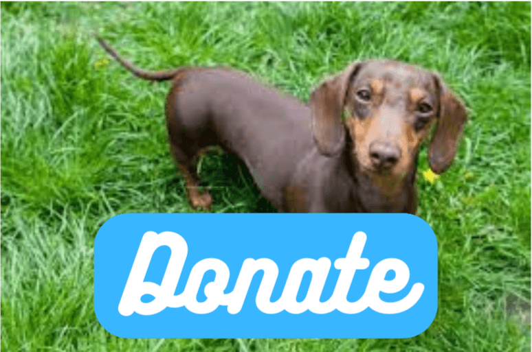 donations